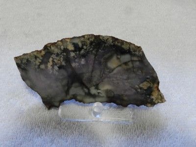 Slab of Purple Cow Agate from Mcdermitt Awesome Color Patterns