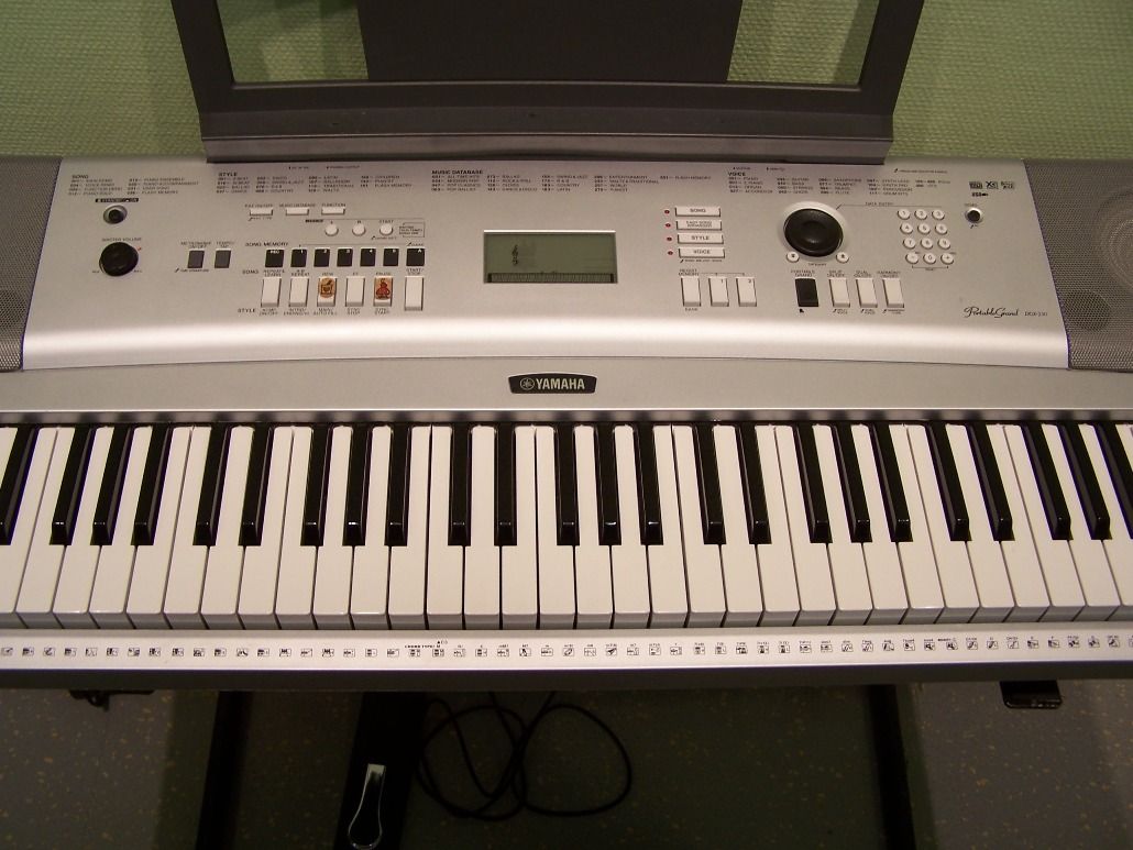 230 Keyboard 76 gewichtete Tasten 489 Sounds Portable Grand SILBER